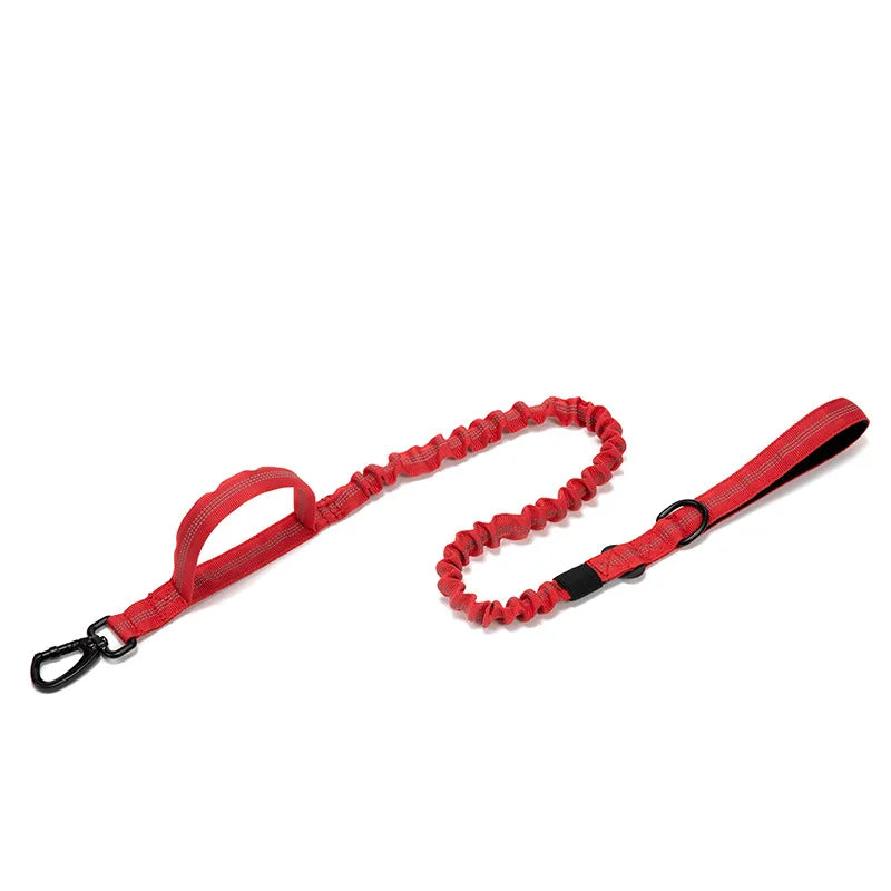 Durable Nylon Dog Collar & Reflective Leash Set - Tactical Training