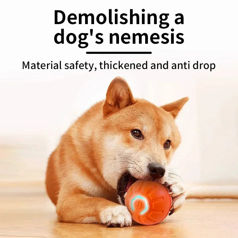 Smart Dog Toy Ball – USB Auto Bouncing Pet Toy for Dogs