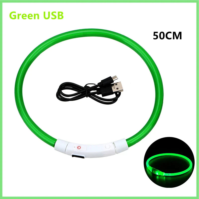 USB Rechargeable LED Glowing Dog Collar – Adjustable Night Safety