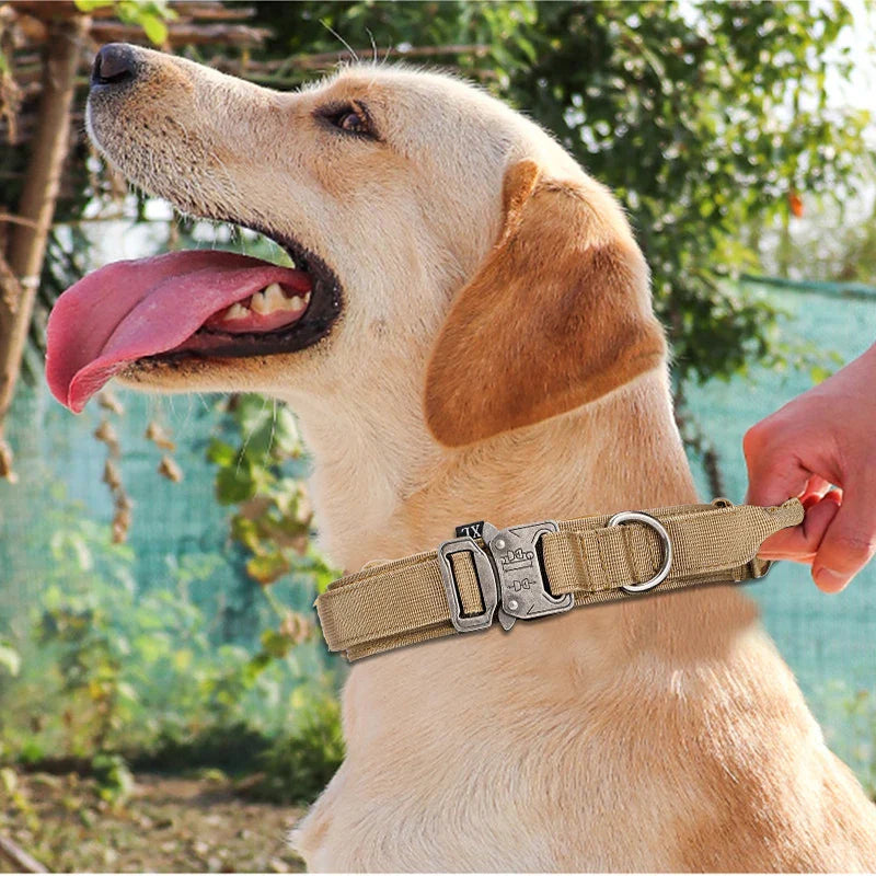 Durable Nylon Dog Collar & Reflective Leash Set - Tactical Training