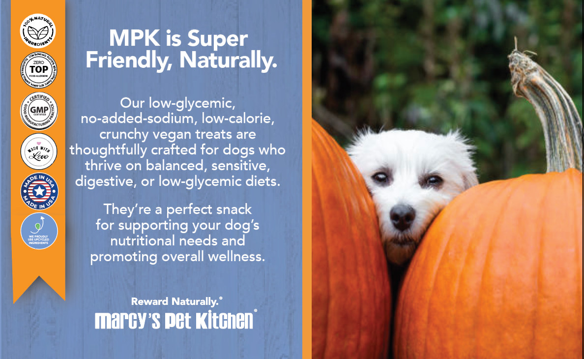 All Natural Vegan Pumpkin Dog Treats -Gluten-Free, Marcy's Pet Kitchen