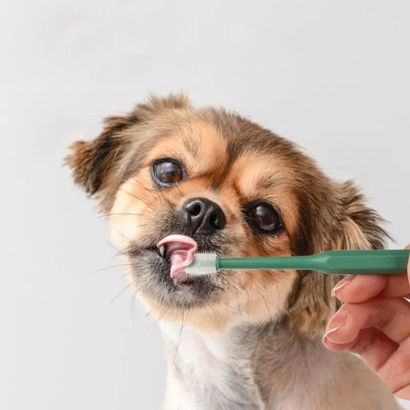 Soft Cat Toothbrush – Gentle Oral Care Brush for Pet Teeth Cleaning