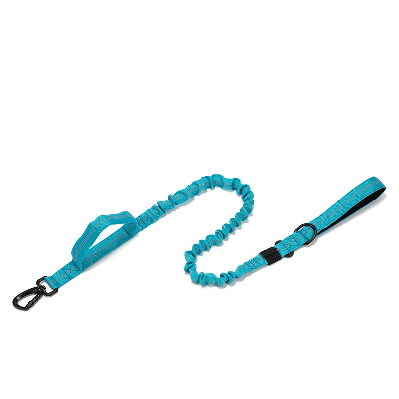 Durable Nylon Dog Collar & Reflective Leash Set - Tactical Training