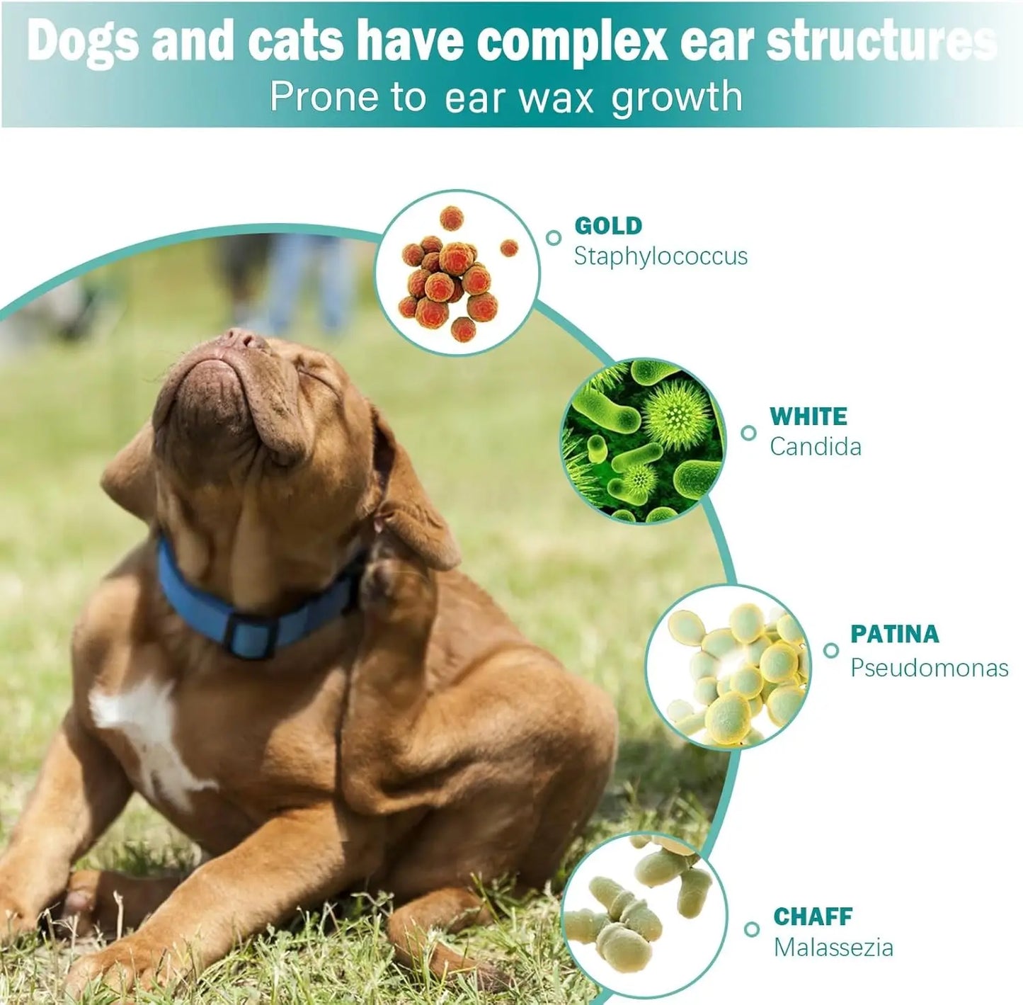 Pet Ear Wipes for Dogs & Cats - Easy Otic Cleaning