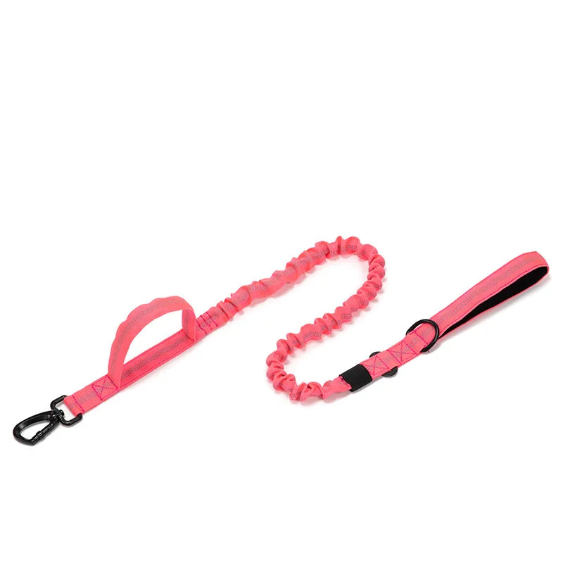 Durable Nylon Dog Collar & Reflective Leash Set - Tactical Training