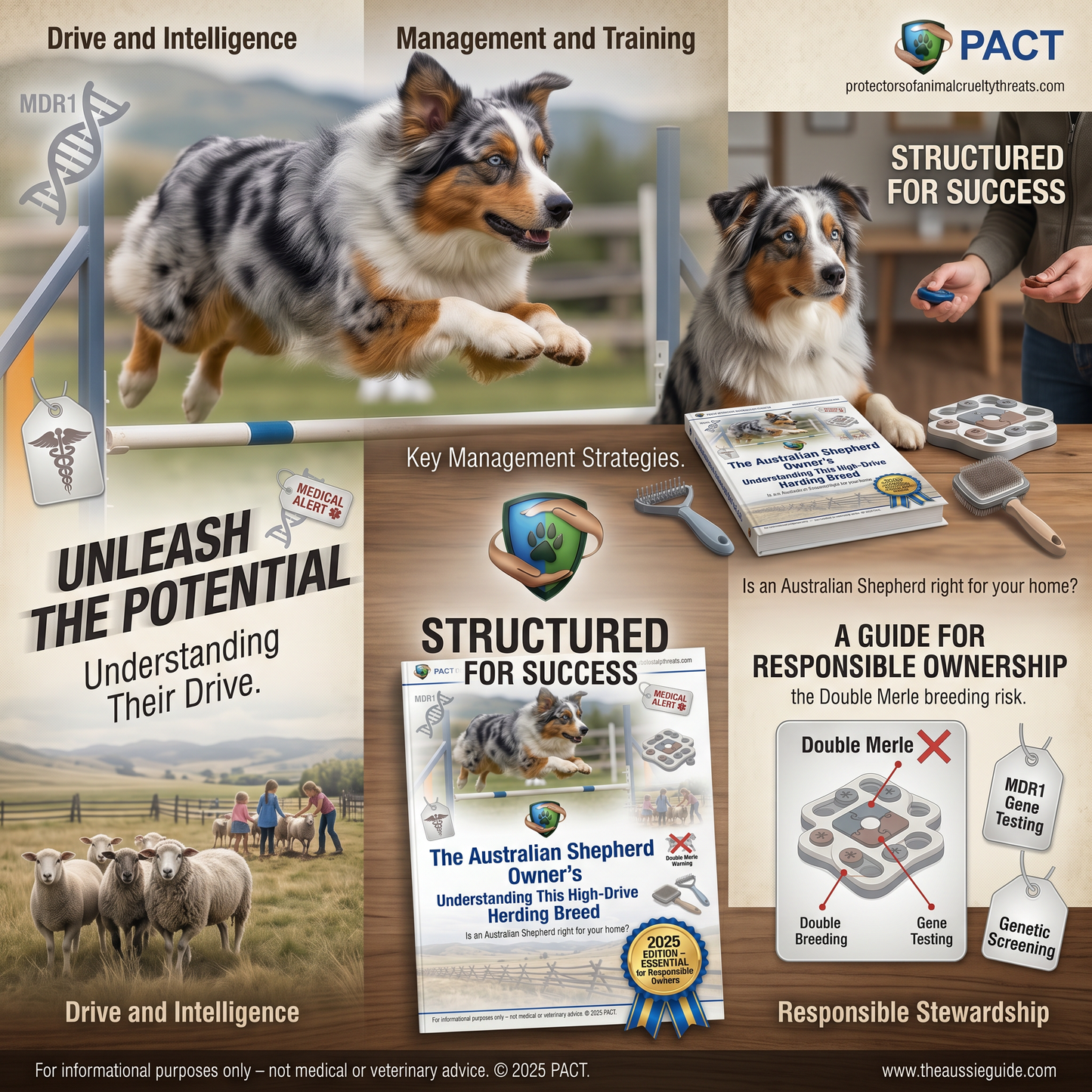 The Australian Shepherd Owner's Understanding This High-Drive Herding Breed 2025 Edition (Instant Digital Deployment)