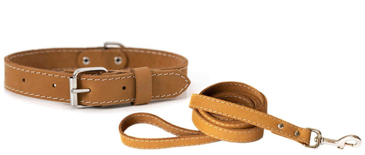 Pro Line hunting leather dog collar and matching leash set