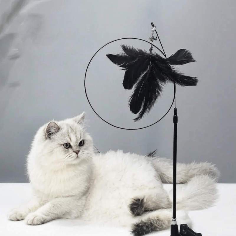 Cat Teaser Stick with Suction Cup – Long-Lasting Feather Wand Toy