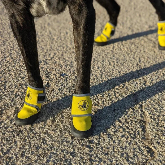 Body Glove Dog Booties: Durable Paw Protectors for All Terrains