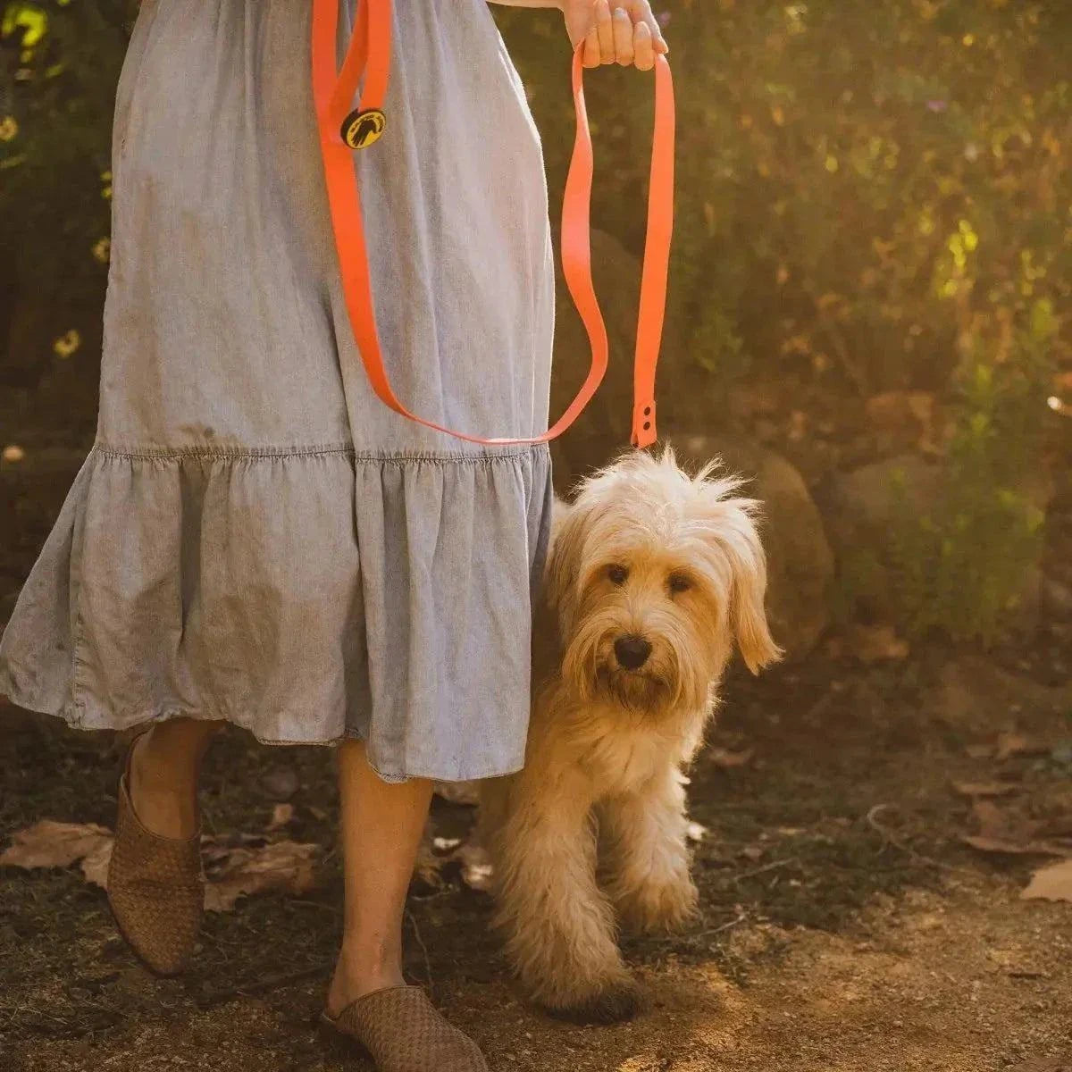 Body Glove Biothane Waterproof Leash - Durable & Stylish Dog Leash