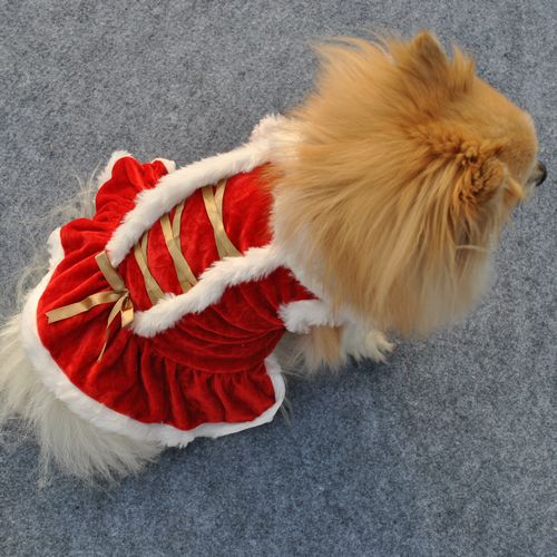 Christmas Red Pet Skirt
