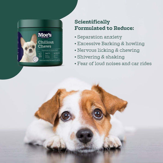 Chillout Chews calming dog supplements with hemp and chamomile