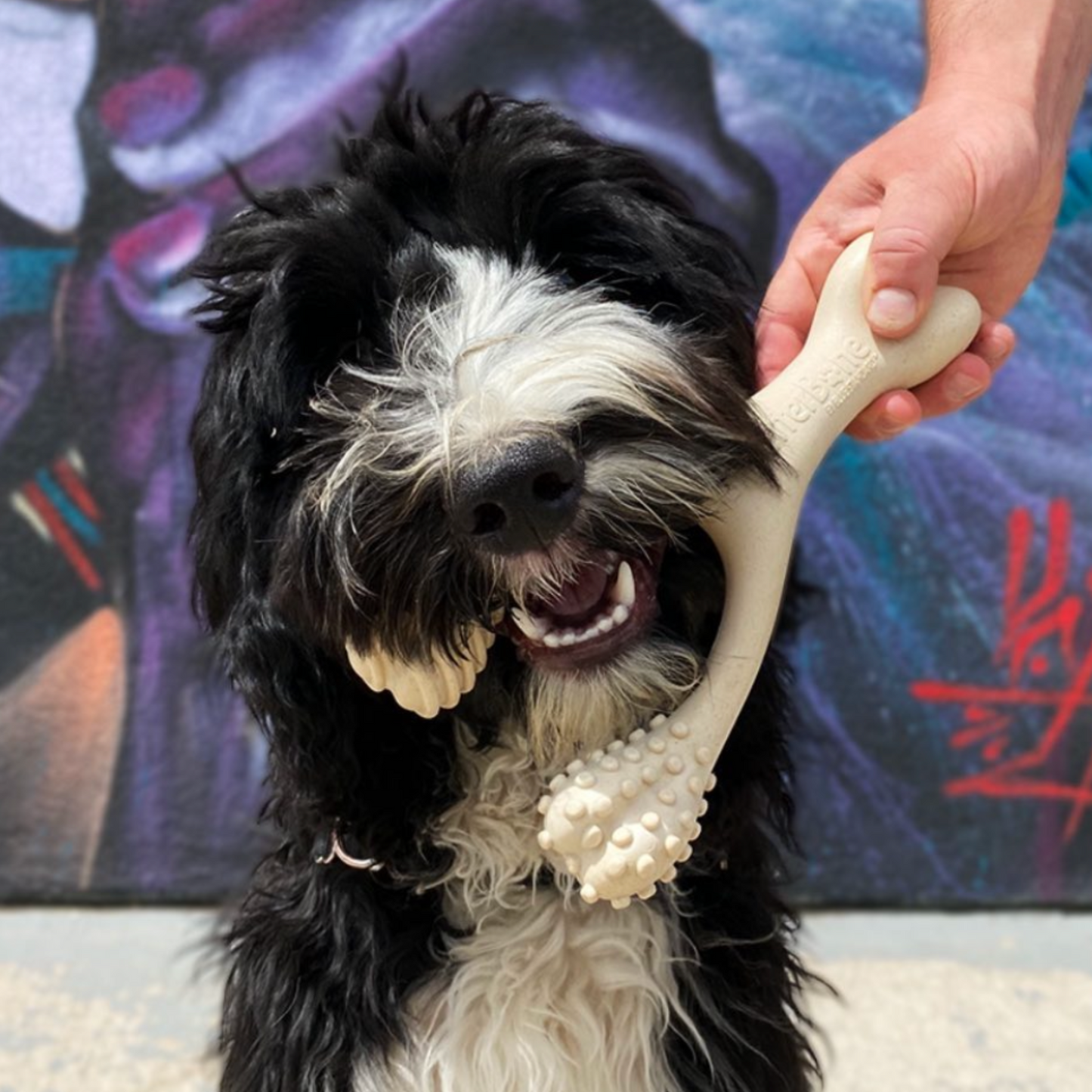 BetterBone SOFT Durability CHEW TOY: Natural Ingredients, Perfet for Teething Puppies, Senior Dogs & Gentle Chewers