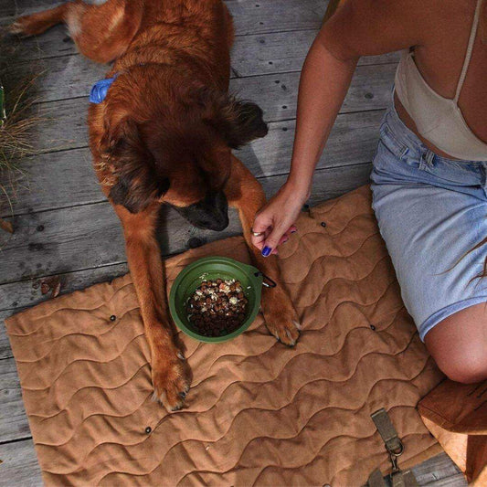 Convertible dog bag transforming into portable pet travel mat