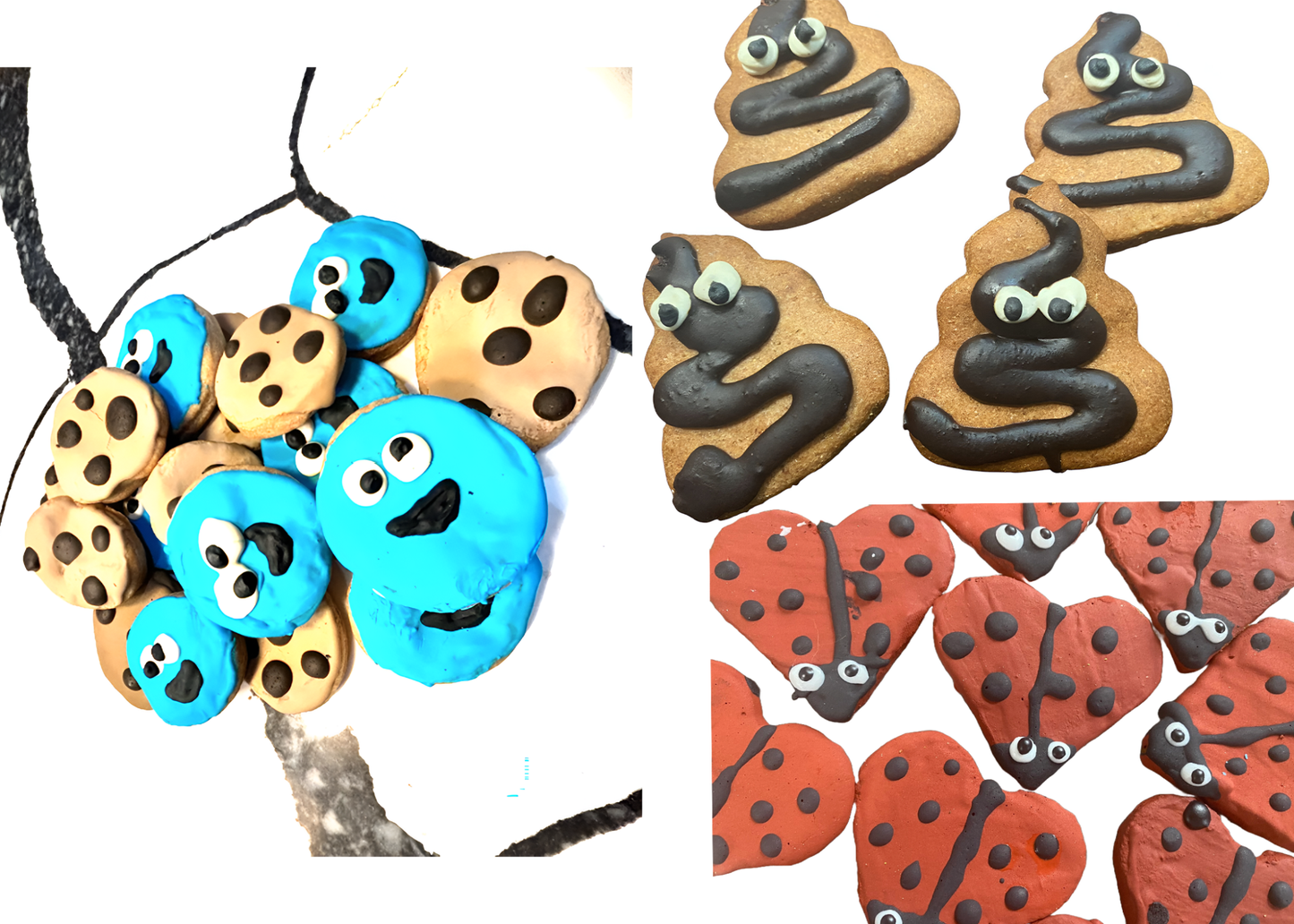 Finn cookies organic dog treat bundle with colorful, fun-shaped peanut butter and pawquarium-themed cookies
