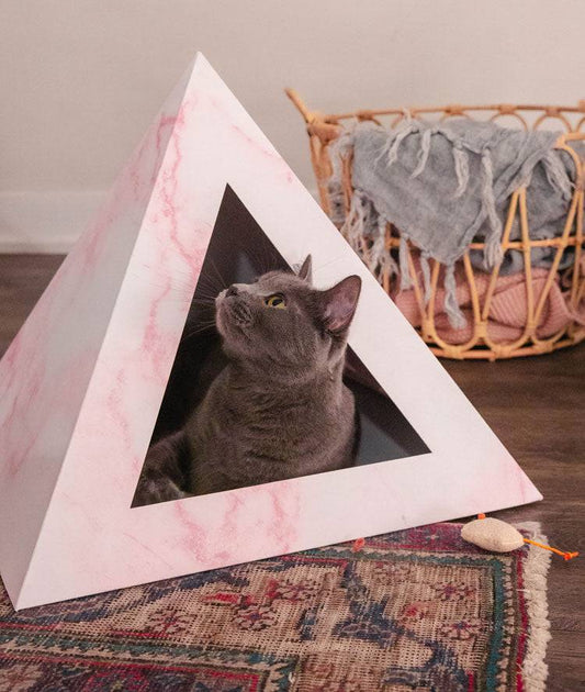 Rose Quartz Cardboard Cat Pyramid with gray cat inside on patterned rug