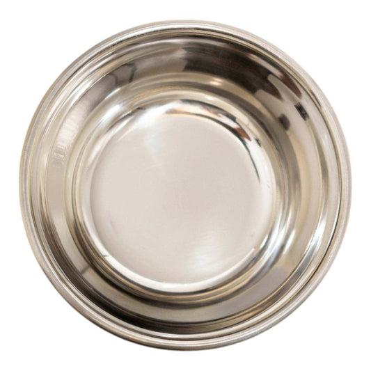 Mint green deep stainless steel dog bowl with rubber base