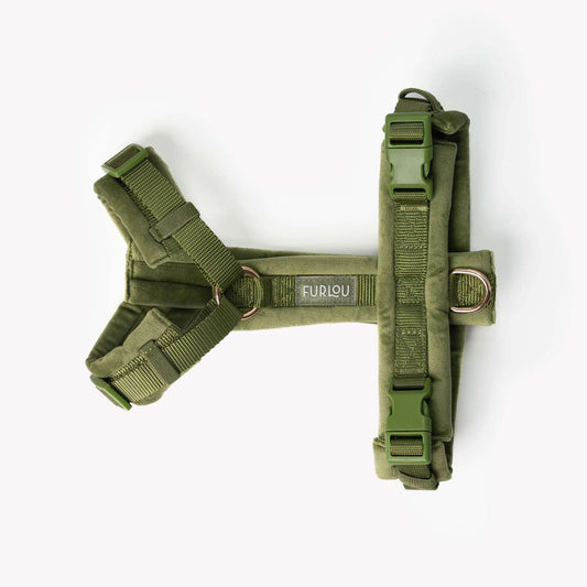 green velvet dog harness with gold hardware