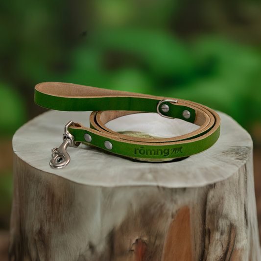 Handmade Leather Dog Leash green with nickel-plated brass swivel snap and beveled edges on wooden surface