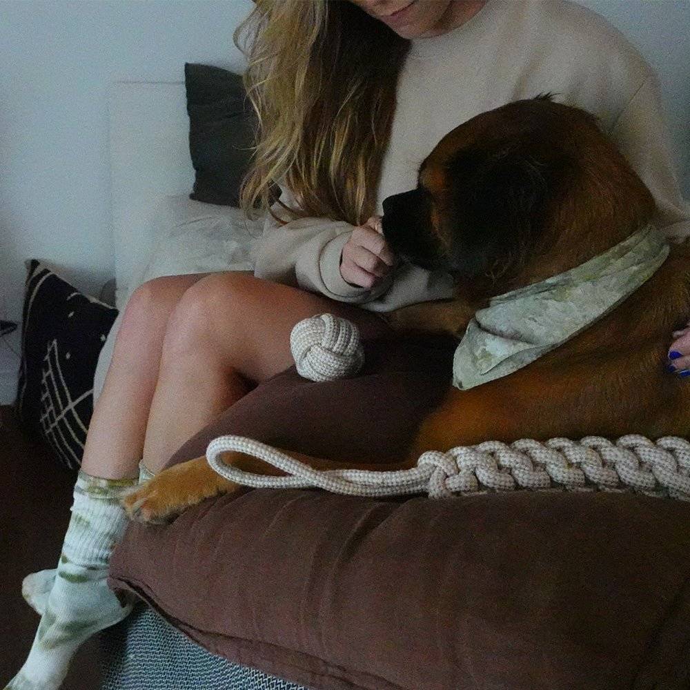 Dog playing with indestructible hemp rope tug toy indoors