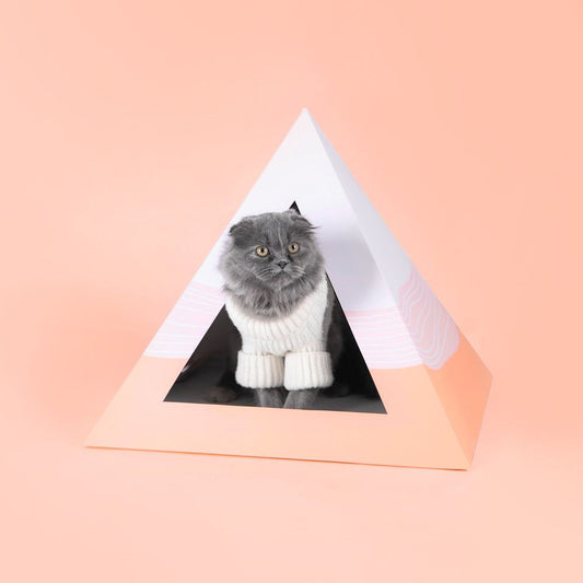 Wavey Cardboard Cat Pyramid with gray cat wearing white sweater inside on peach background