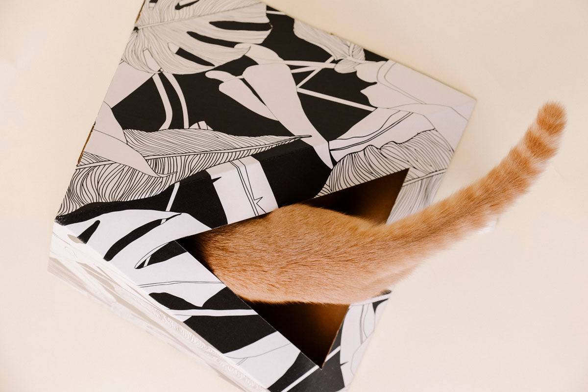 Dark Paradise Cardboard cat pyramid with black and white leaf design and a cat's tail poking out of the opening