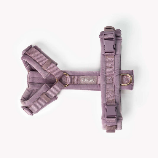Lilac velvet dog harness with gold hardware and padded lining