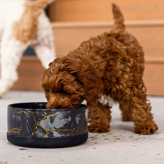 Limited edition ceramic dog bowl with black and gold marble design