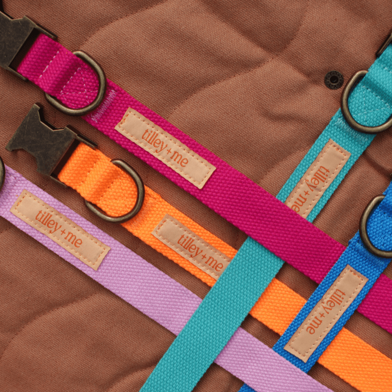 Malibu Sunset Sustainable Hemp Cotton Adjustable Dog Collar