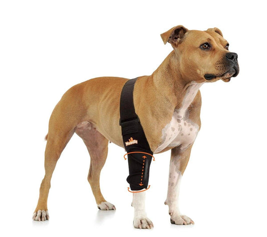 NeoAlly Elbow and Shoulder Brace with spring inserts on a dog's leg providing joint support and enhanced mobility