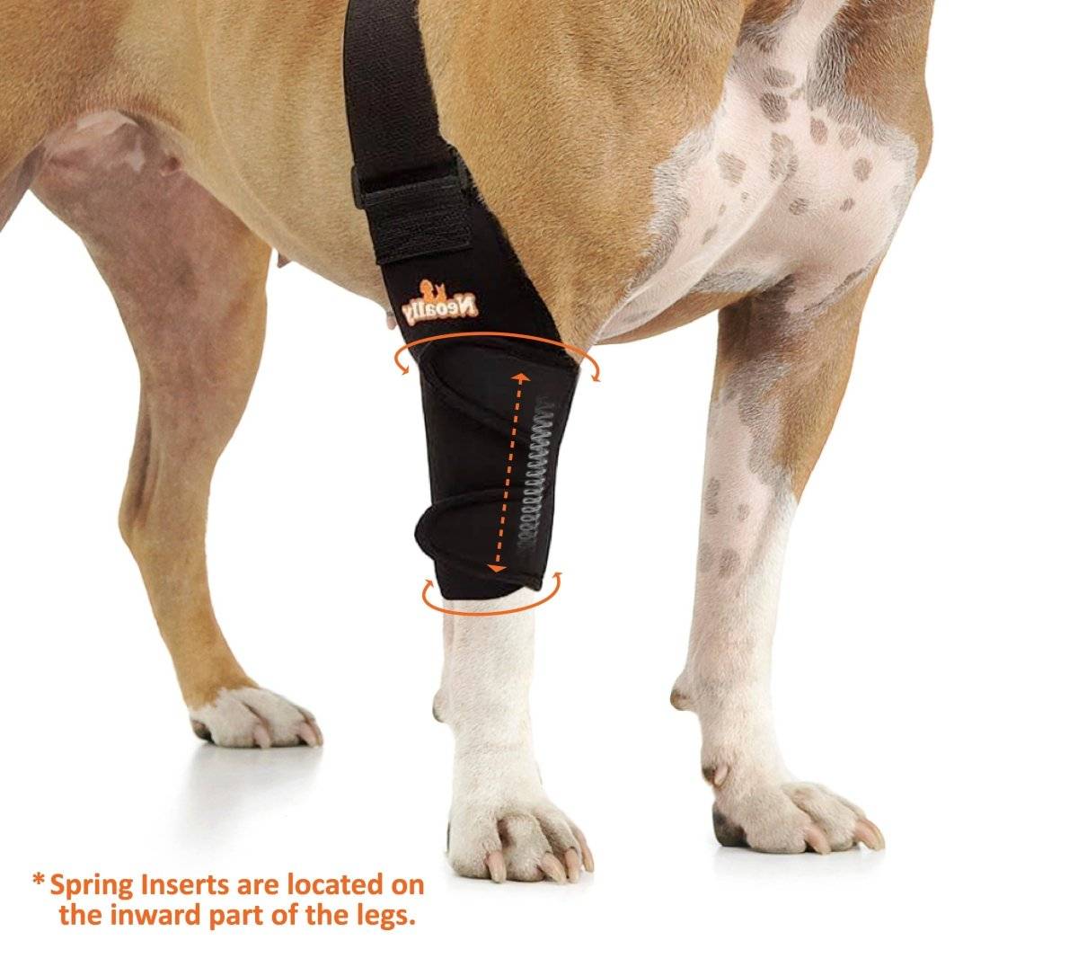 NeoAlly Elbow and Shoulder Brace with spring inserts on a dog's leg providing joint support and enhanced mobility
