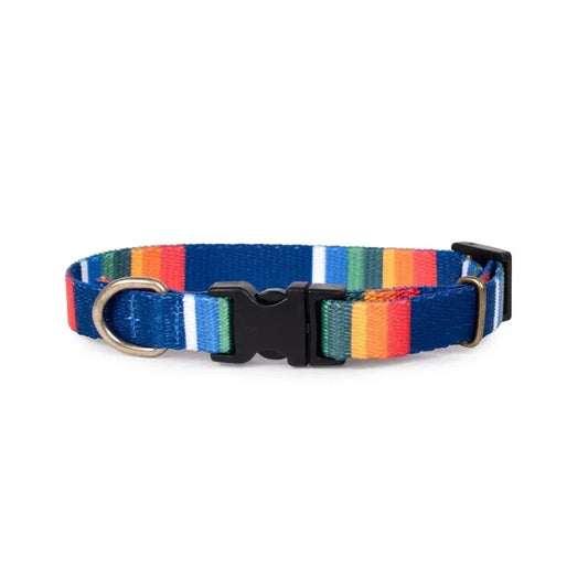 Pendleton adventure collar with vibrant multicolor design and adjustable buckle for outdoor dogs