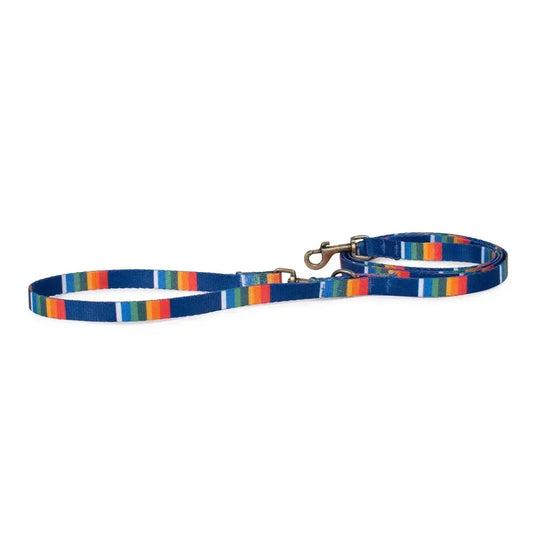 Pendleton adventure leash with colorful National Park stripes, durable recycled polyester, and antique brass hardware.