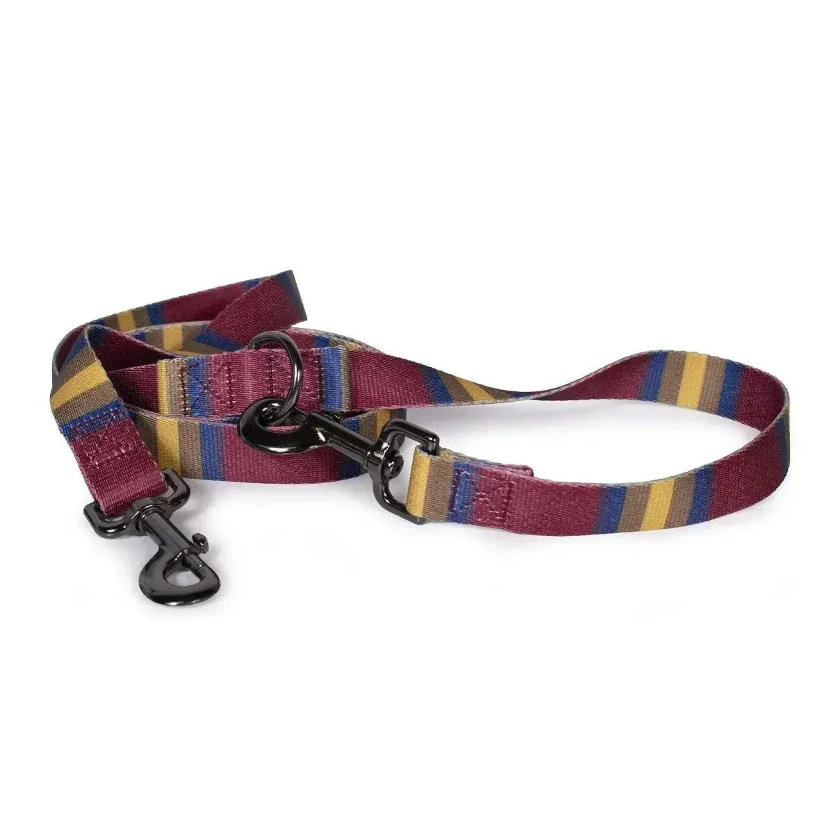 Pendleton adventure leash with colorful stripes, durable recycled polyester, and antique brass clips