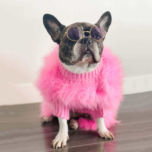 Haute Couture Feathered Luxury Pet Sweater: Stylish Warm Pet Clothes