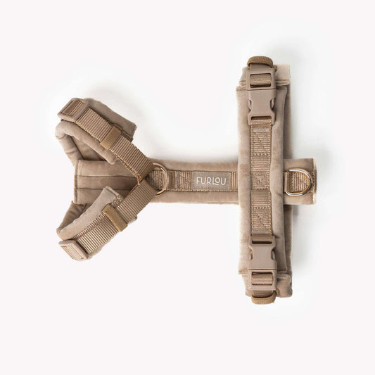 sand velvet dog harness with gold hardware and padded lining