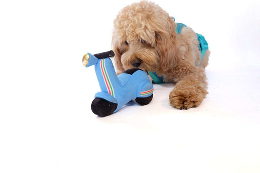 Scooter pet plush toy for gentle play and mental stimulation