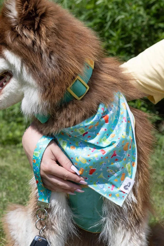 Seaside Sips dog bandana with tropical drink pattern and matching wristlet keychain