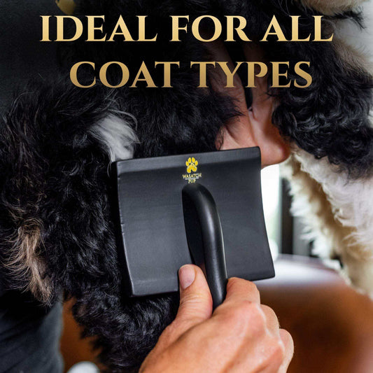 Slicker brush with comfort glide pins for dog grooming