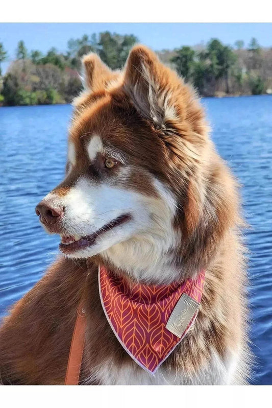 Twilight Trails dog bandana and matching vegan leather keychain set