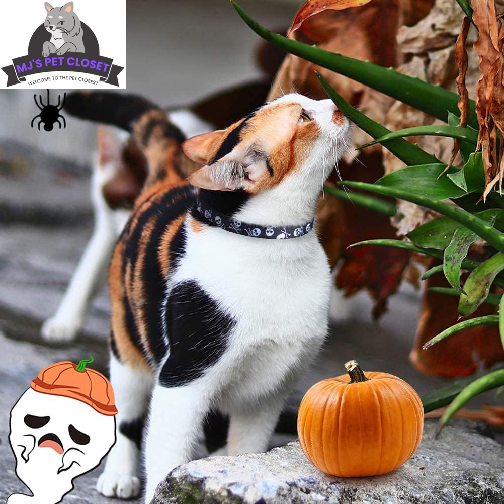 Cute & Stylish Breakaway Cat Collars! πΎπ 2-pack in Pink & Black Skull Design, Perfect for Your Fashionable Feline! ππ±