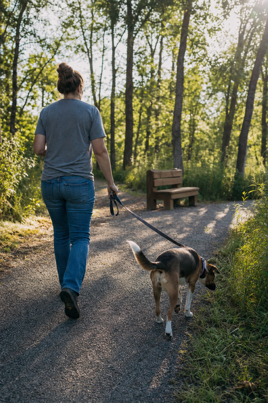 Walking the Path at Ingham Shelter