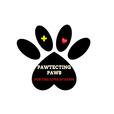 Paw Power Nutrition – Support Dog Rescue with Nutritional Products