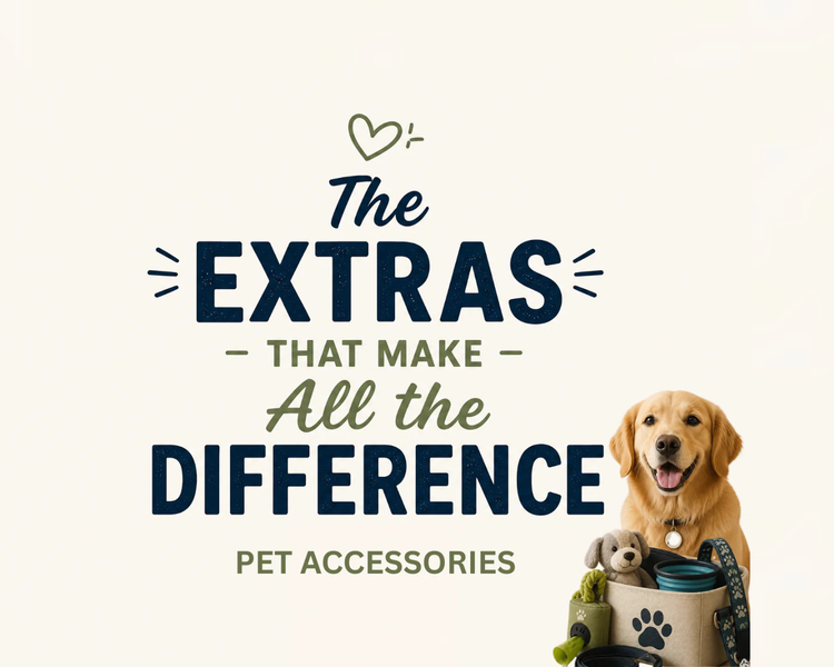 Shop Pet Accessories - Stylish & Durable Pet Accessories for Every Pet