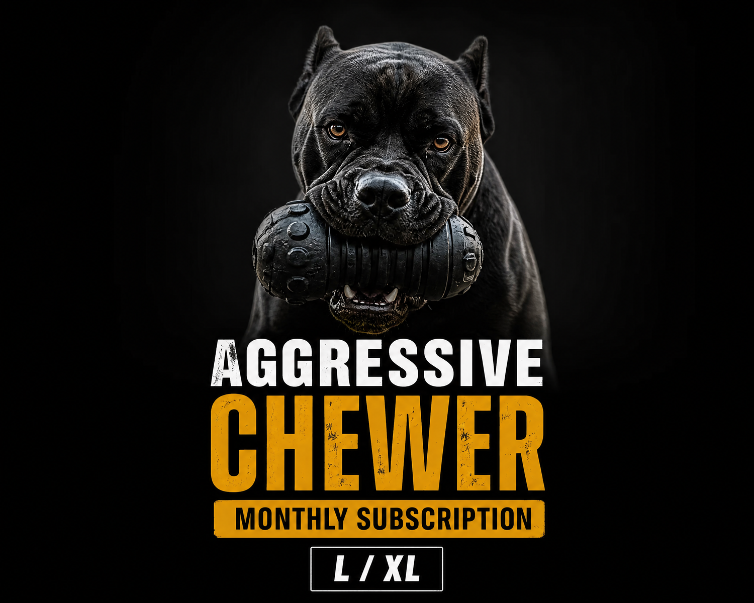 Aggressive Chewer Monthly Enrichment Unit Subscription for L/XL Dogs