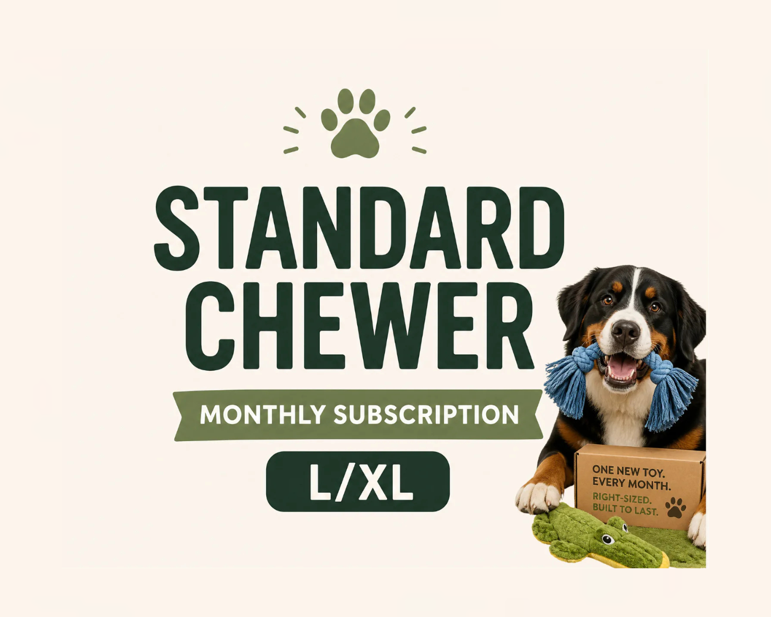 Standard Chewer Monthly Enrichment Unit Subscription for L/XL Dogs