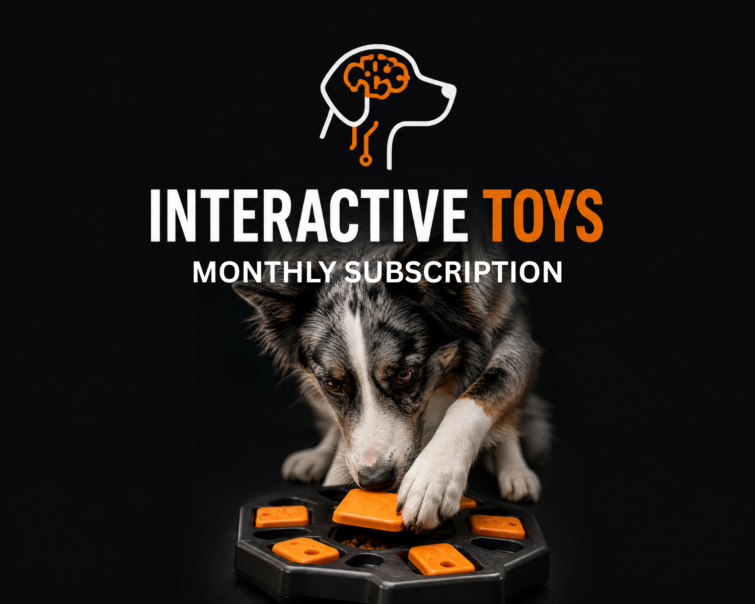 Enchant Your Dog with Interactive Monthly Enrichment Unit Subscription