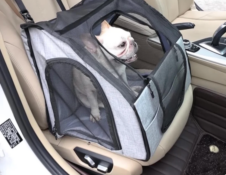 Pet Carriers in gray mesh fabric with black trim and zippered panels, holding a small white dog securely in a car seat.