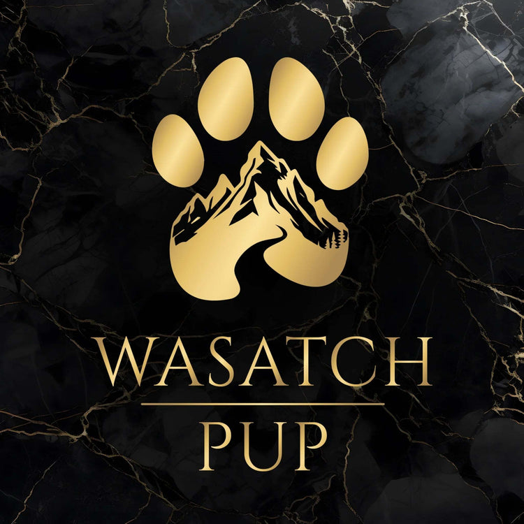 Discover Wasatch Pup: Practical Dog Products for Daily Challenges