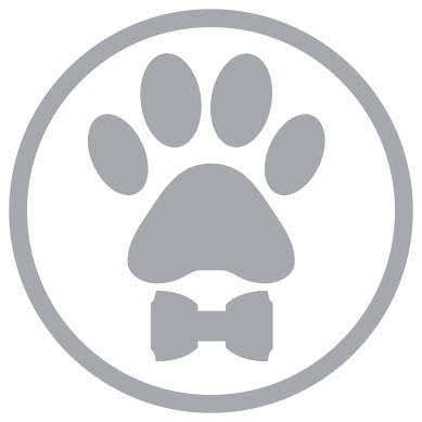 BESPOKE PAWS Pet Fashion & Coordinated Cashmere Scarves NYC-Designed